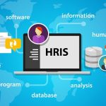 Human Resource Information System and Its Working Methodology