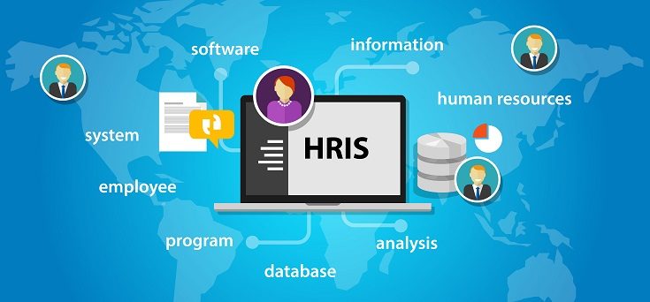 Human Resource Information System and Its Working Methodology