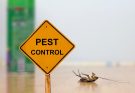 Small Businesses – The Silent Threat of Pests 